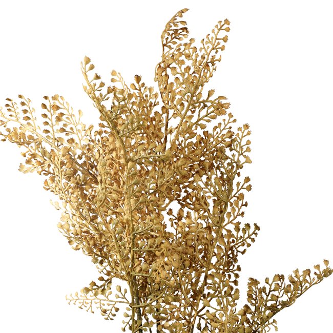 Декоративное растение Cypress leaf spay, желтый/коричневый, H98cm