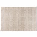 Carpet Alloy 22001/B6X/J, taupe color, 160x235cm