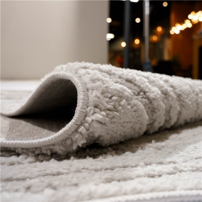 Carpet Alloy 114/B6W/H, light gray, 200x285cm