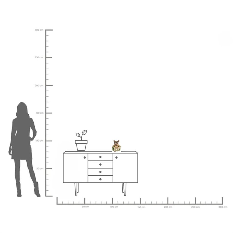 Kопилка Chillax Dog, H21x19x21cm