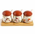 Dipping set Autumn Breeze with spoon and wooden tray, H9x22x8cm