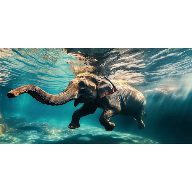 Стеклянная картина Diving Elephant, 70x140cm