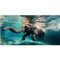 Стеклянная картина Diving Elephant, 70x140cm