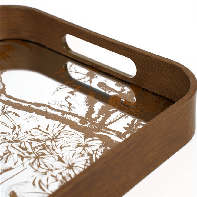 Decorative glass tray Fasty M, 27x42.5x4.5cm