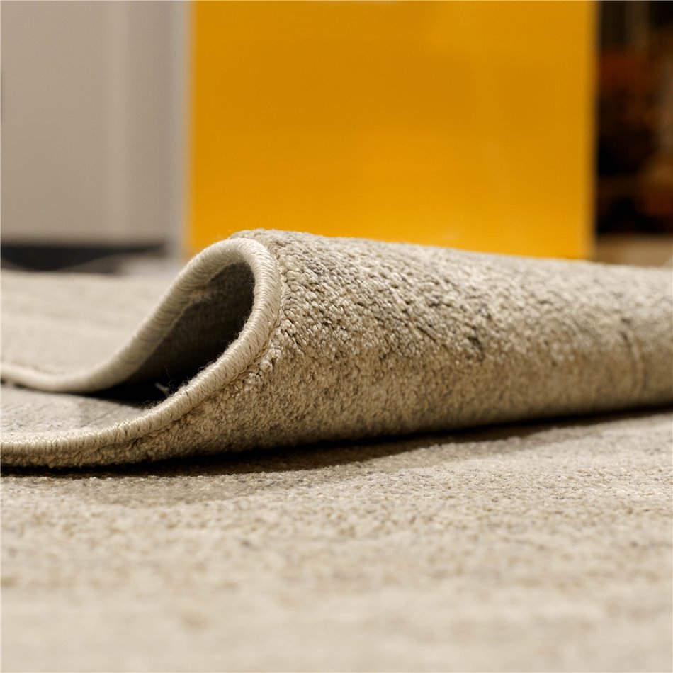Carpet Timon 153, taupe, 200x290cm