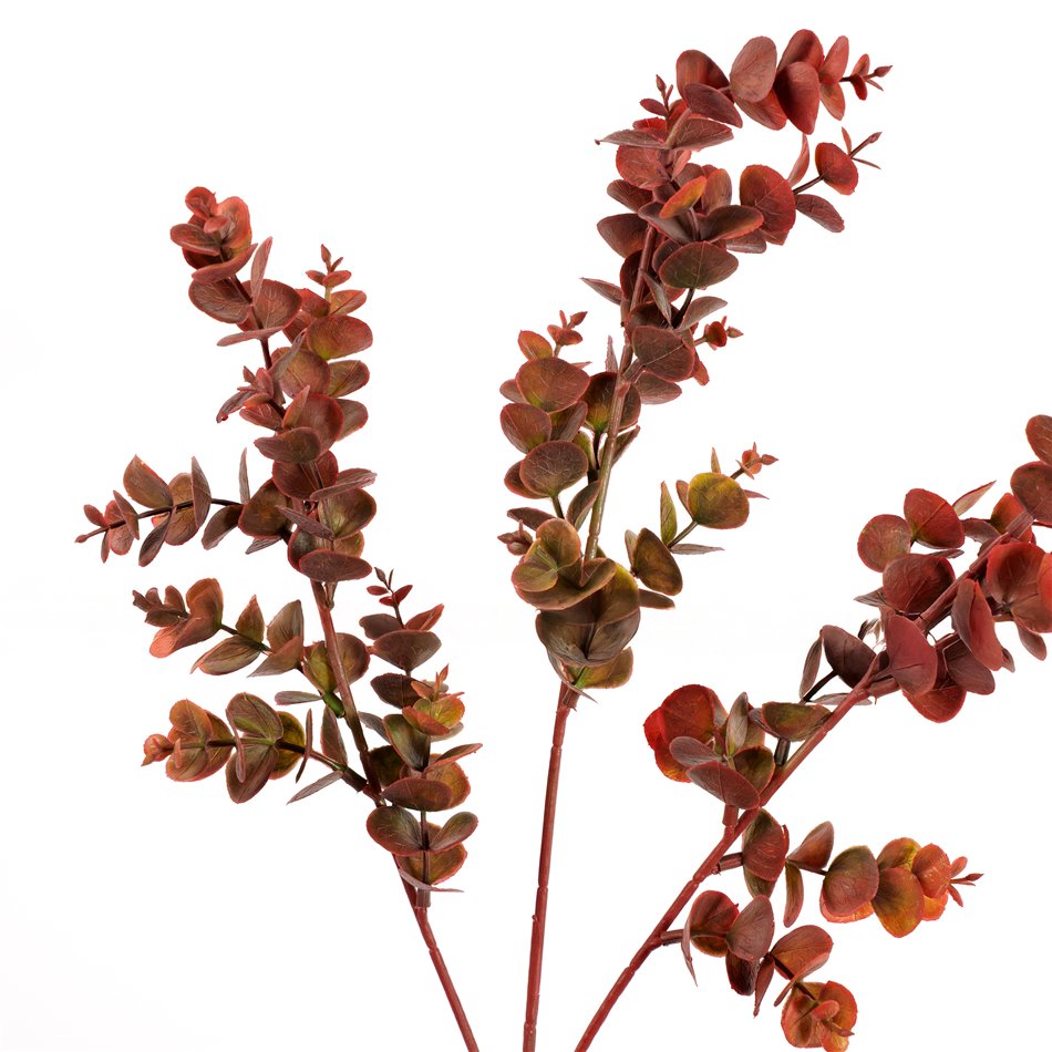 Decorative plant Berberis Green/red, H65cm
