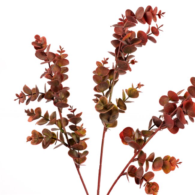 Decorative plant Berberis Green/red, H65cm