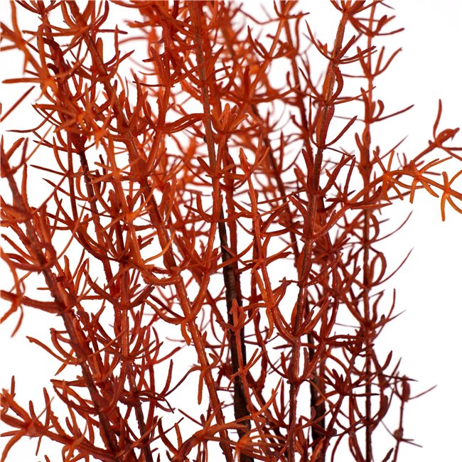 Decorative plant Salixy Gracilus, brown, H100cm