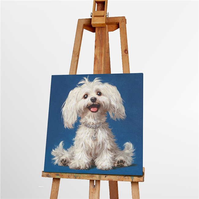 Canva White Fluffy, 40x40cm