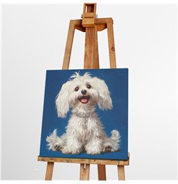 Paveikslas ant drobės White Fluffy, 40x40cm