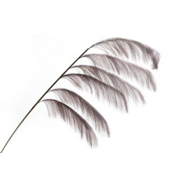 Decorative plant Malepartyus Groose Fontain, H120cm