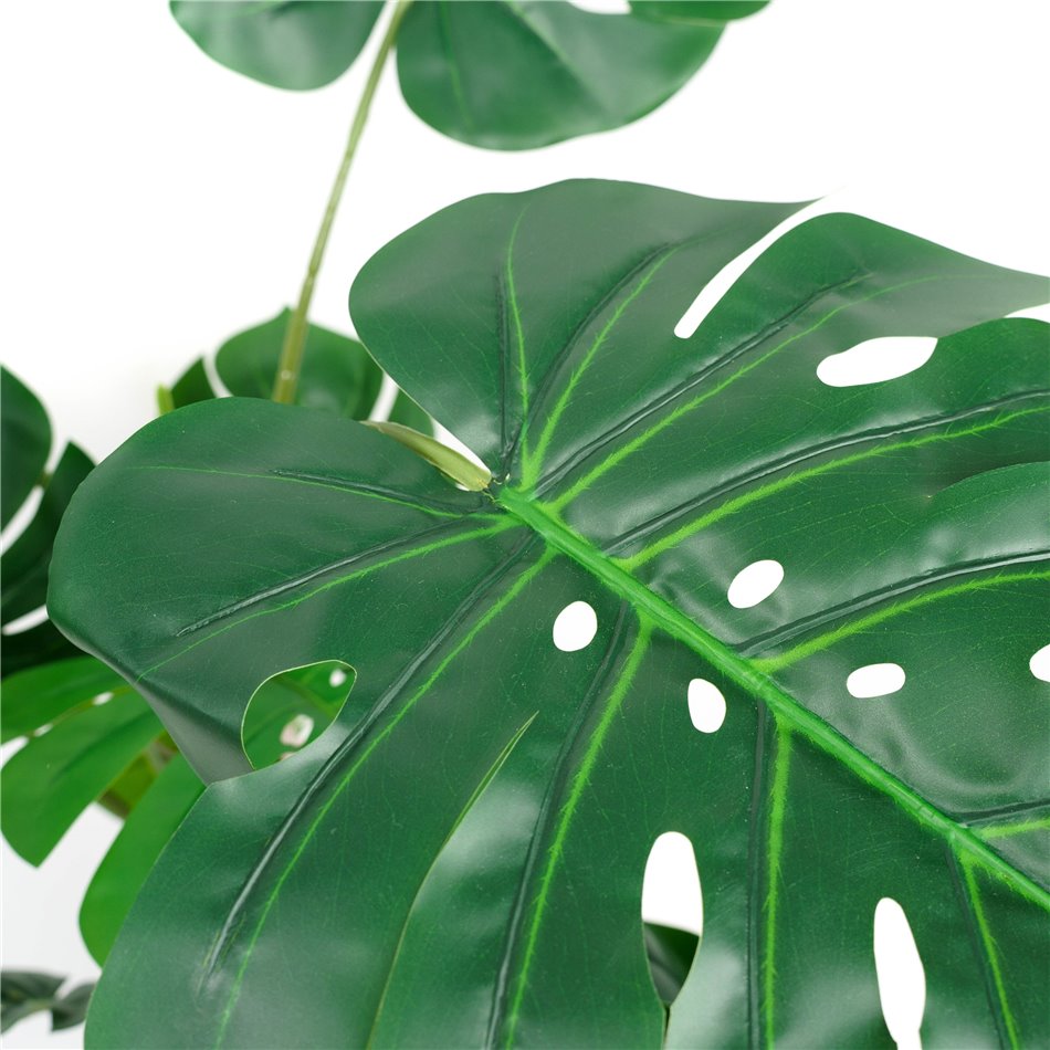 PHILO MONSTERA DELICIOSA, H110x84x79cm