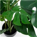 PHILO MONSTERA DELICIOSA, H110x84x79cm