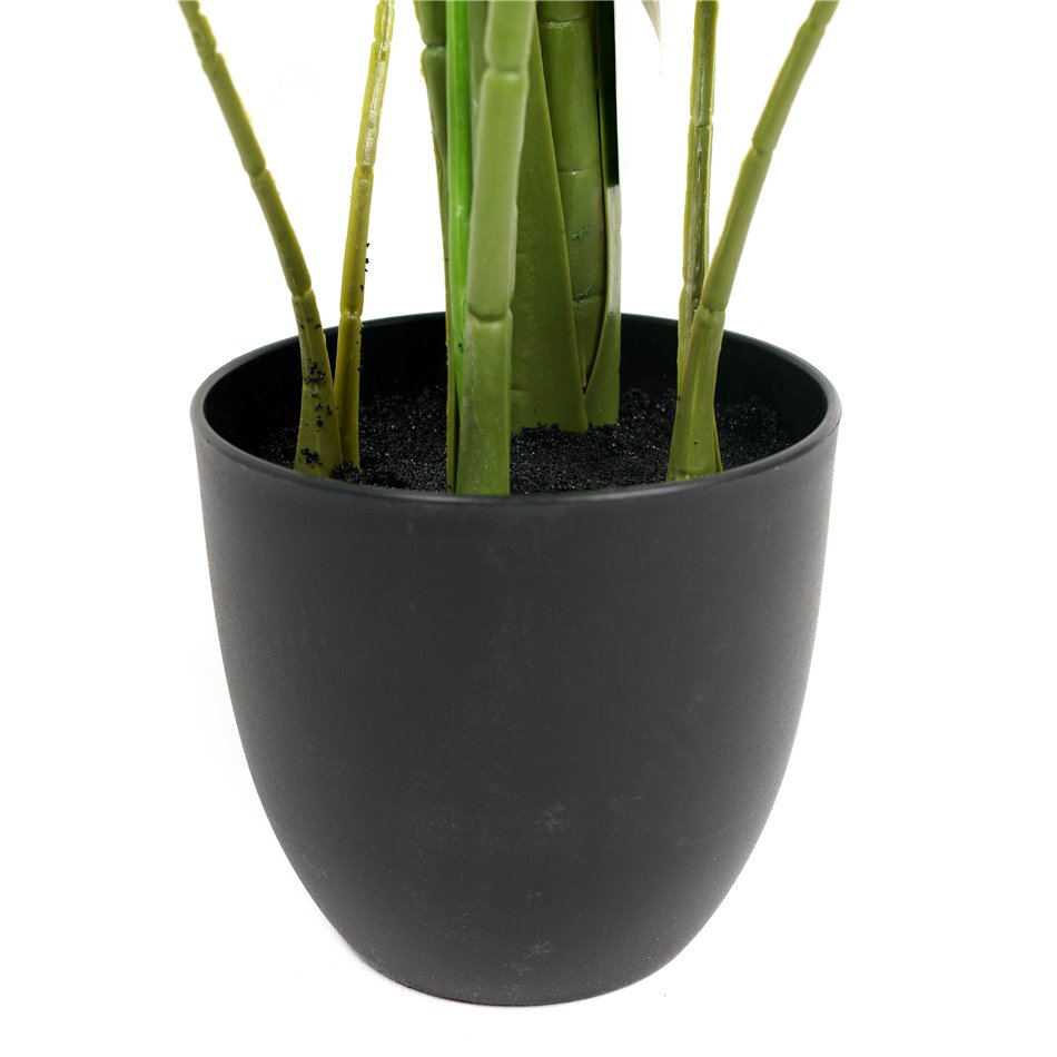 PHILO MONSTERA DELICIOSA, H110x84x79cm