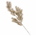 Decorative branch Pines H, champagne color, H60x16cm