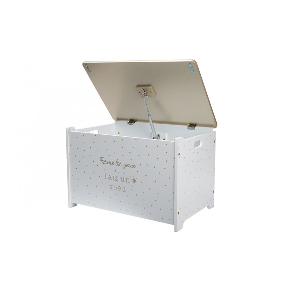 Сундук для хранения Golden, H38x58x38cm