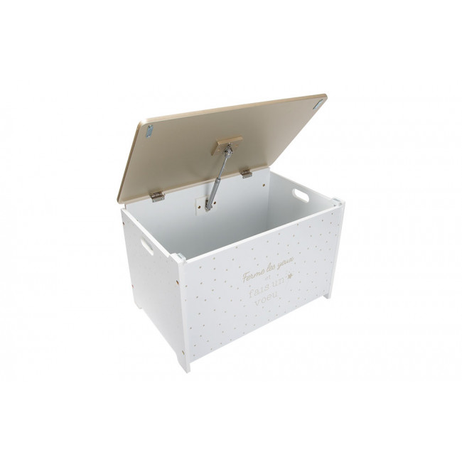 Сундук для хранения Golden, H38x58x38cm