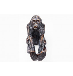 Knygų laikiklis MONKEY, 2 kompl., 17x20x10cm