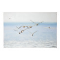 Kanvas bilde Seagulls, 120x80cm