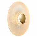Настенный светильник Agaro gold, прозрачный/золотой цвет, D28cm, LED 10W, 3000K, 250lm