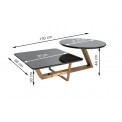 Coffee table Saga, 130x70x44.5cm
