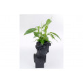 Deco planter David Black, 57.4x35x35cm