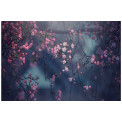 Stikla bilde Cherry blossoms, 80x120x0.4cm