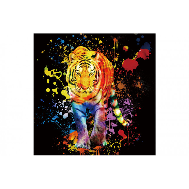 Picture Tiger, 80x80 cm