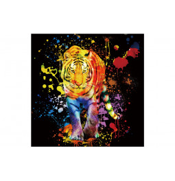 Picture Tiger, 80x80 cm