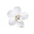 Sienas dekors Orchid, balts, 25x24x7cm