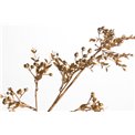 Decorative plant Lythram salicaria, copper, H67cm
