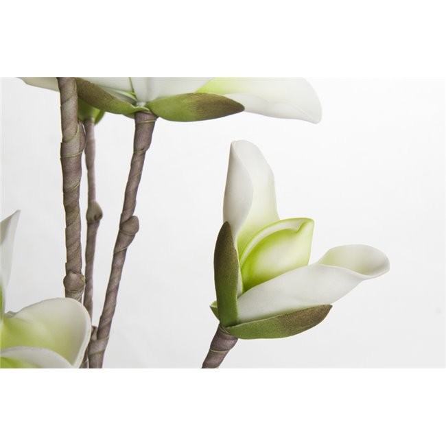 Zars Medea ar zaļiem/baltiem ziediem, H109cm
