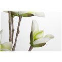 Branch Medea with green/white flowers, H109cm