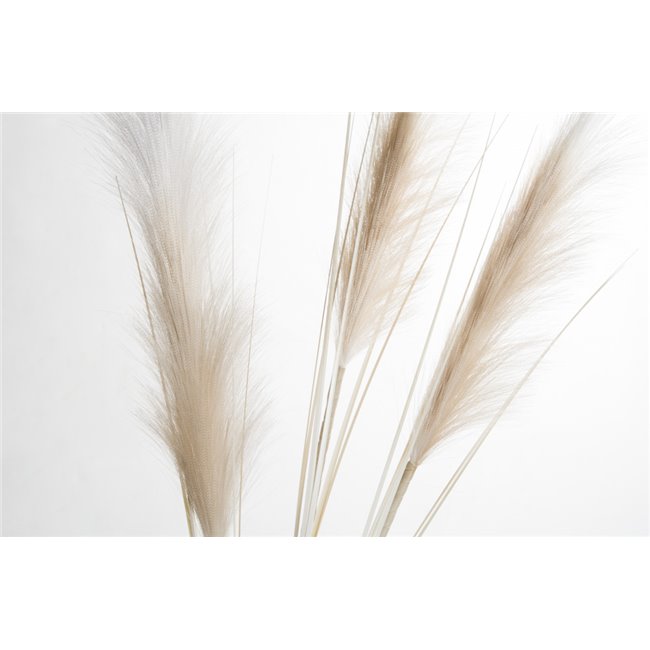 Decorative plant Meskantus Natural, 110cm