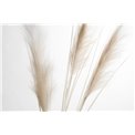 Decorative plant Meskantus Natural, 110cm