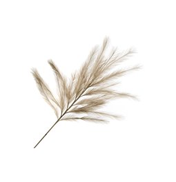 Decorative plant Meskantus BR, 109cm