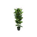Artificial ficus Robusta, H120cm