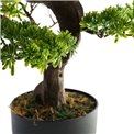 Artificial tree with pot Bonsai, H80x80x54cm