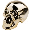 Money Bank Skull, H12.5x19x12cm