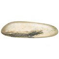 Tray Crocodile-Savanna, 36x17cm
