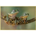 Wall glass art Frogs, 40x60x3.5cm