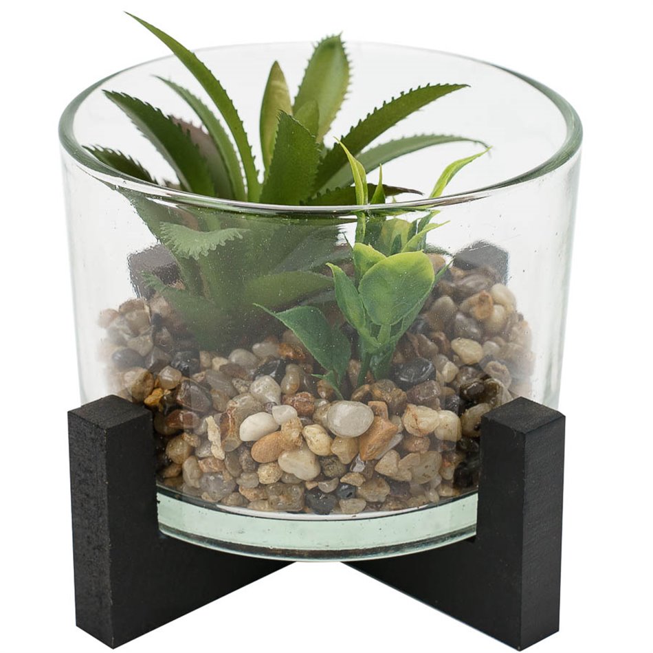 Dekoratīvs augs stikla traukā, D13  H12cm