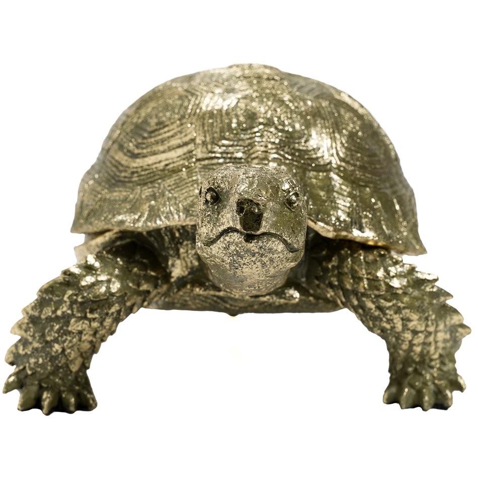 Jewelry box Tortoise, 24x34x15.5cm