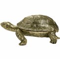 Jewelry box Tortoise, 24x34x15.5cm