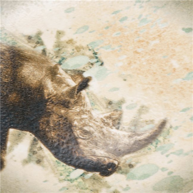 Тарелка Rhino-Savanna, D23cm