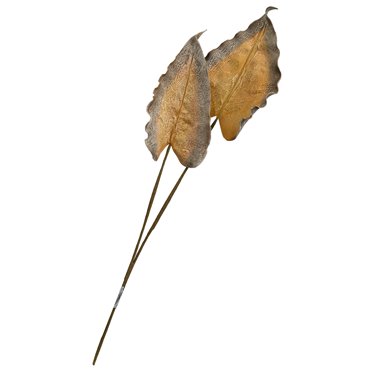 Medera OR, H90cm
