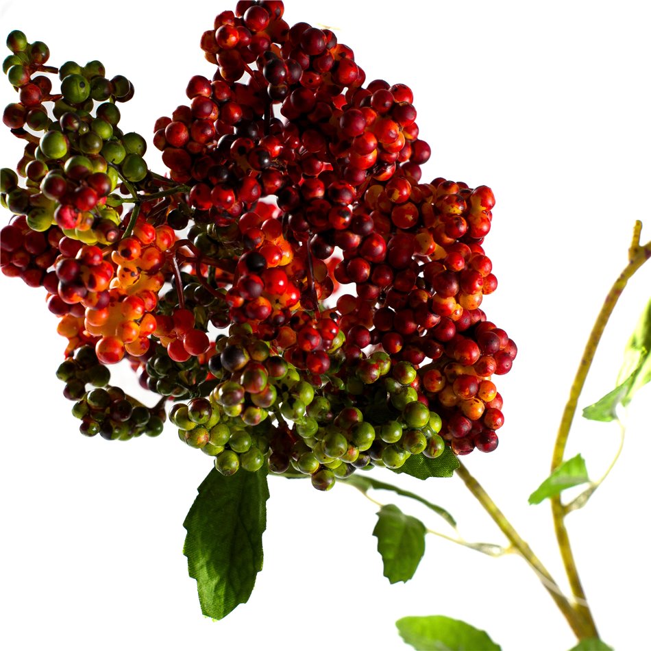 Branch Salme Red, H70cm