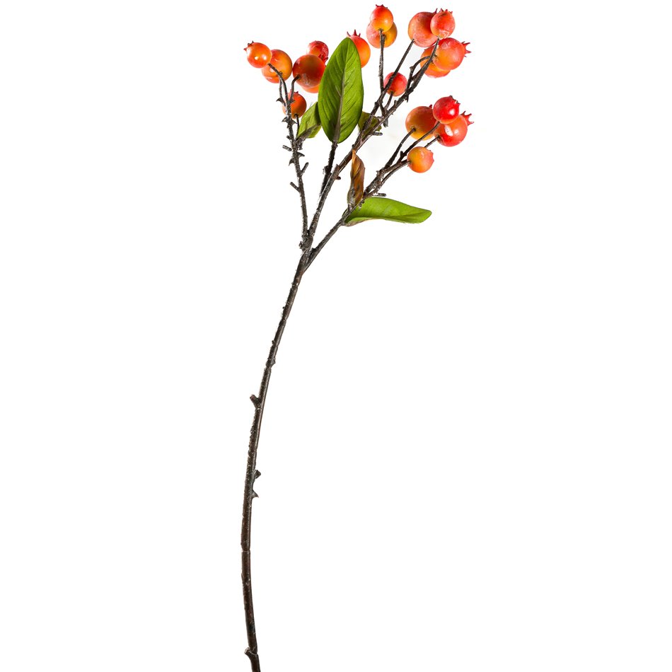 Zars Sorbus L Orange, H55cm