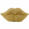 Декоративная копилка Lips, 13x29x10cm