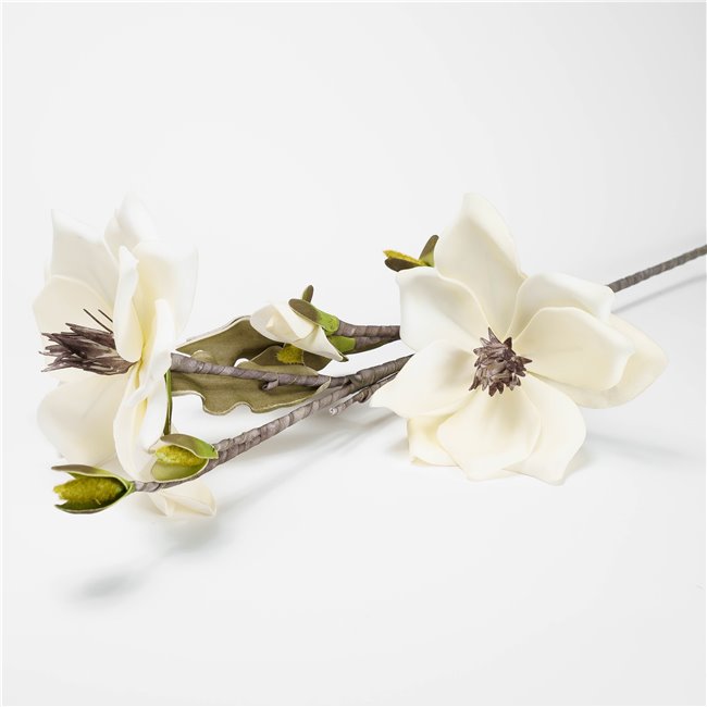 Декоративное растение Helleborus, A01 бежевый/зеленый, H120см